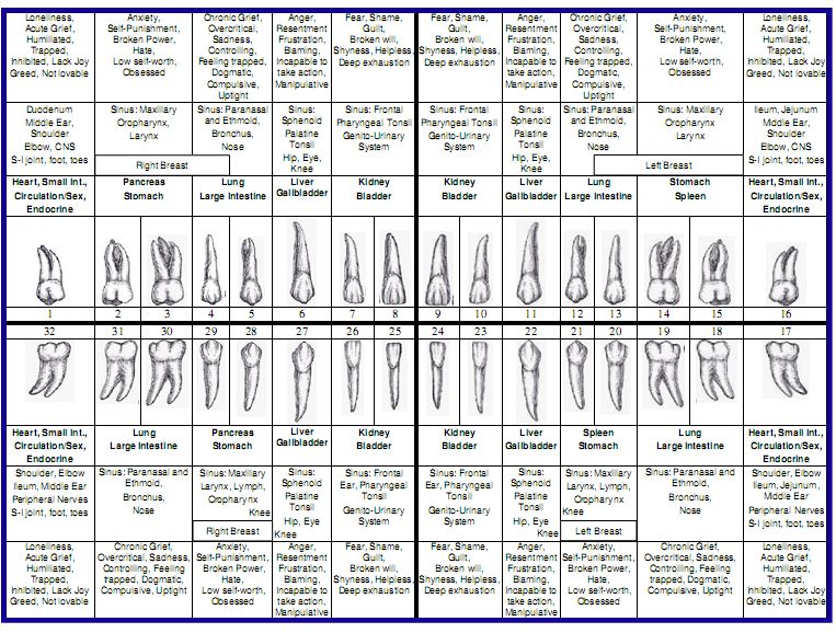 Tooth Meridian Chart Emotions